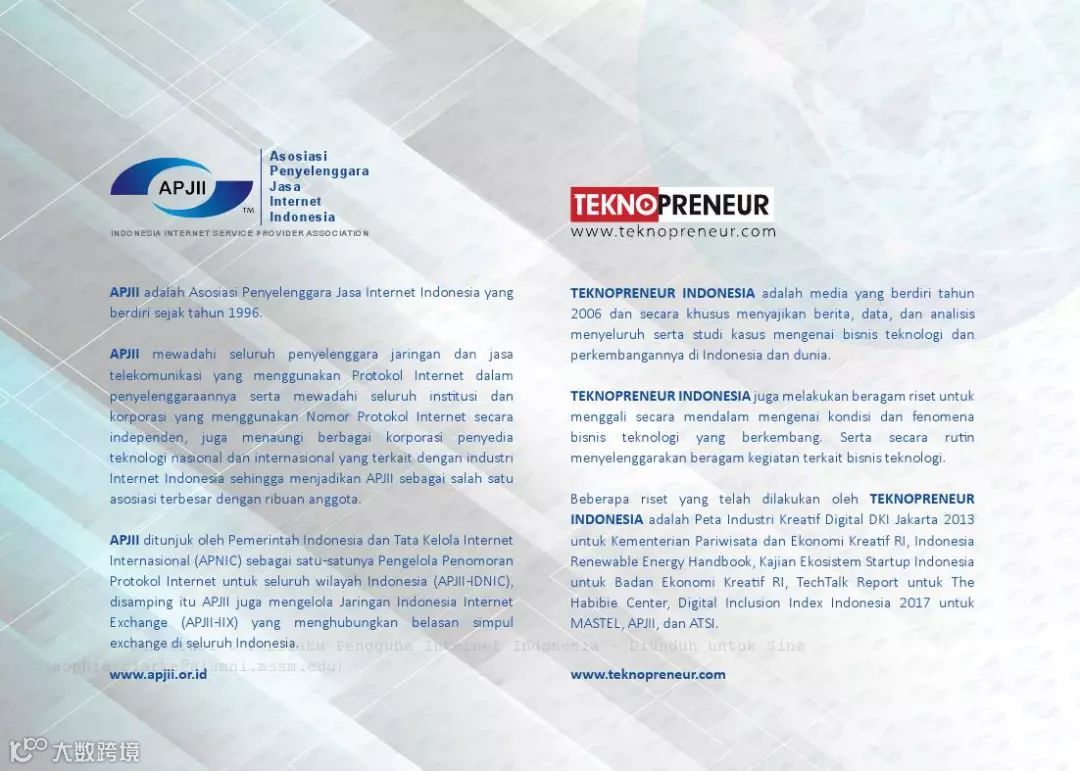 2017年印度尼西亚网民普及率和行为报告