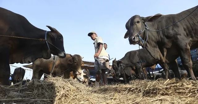 印尼最重要的12个节日