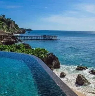 印尼这一果子，果实鲜红很有食欲，导游：千万不能吃！