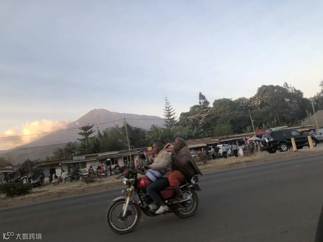 叮一口就没命、差点被非洲狮吃了…85后潮汕女孩以命相博，用一场冒险拿下大单！