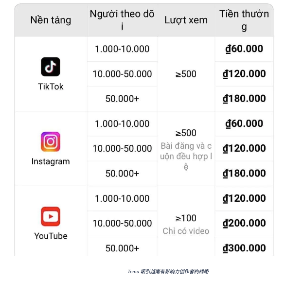 山海图:TEMU征战越南狂洒金,廉价商品却不香了?