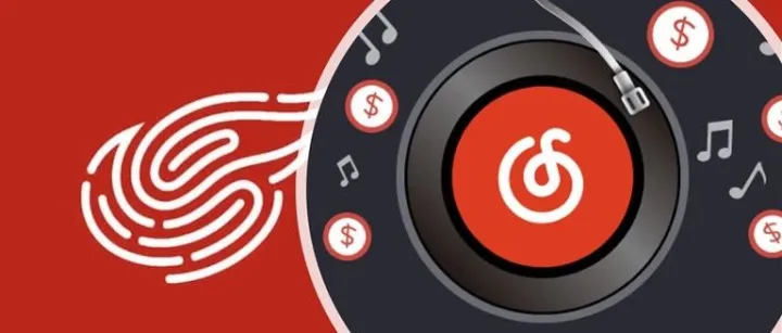 品牌营销：网易如何实现今年第二季度46%增长？