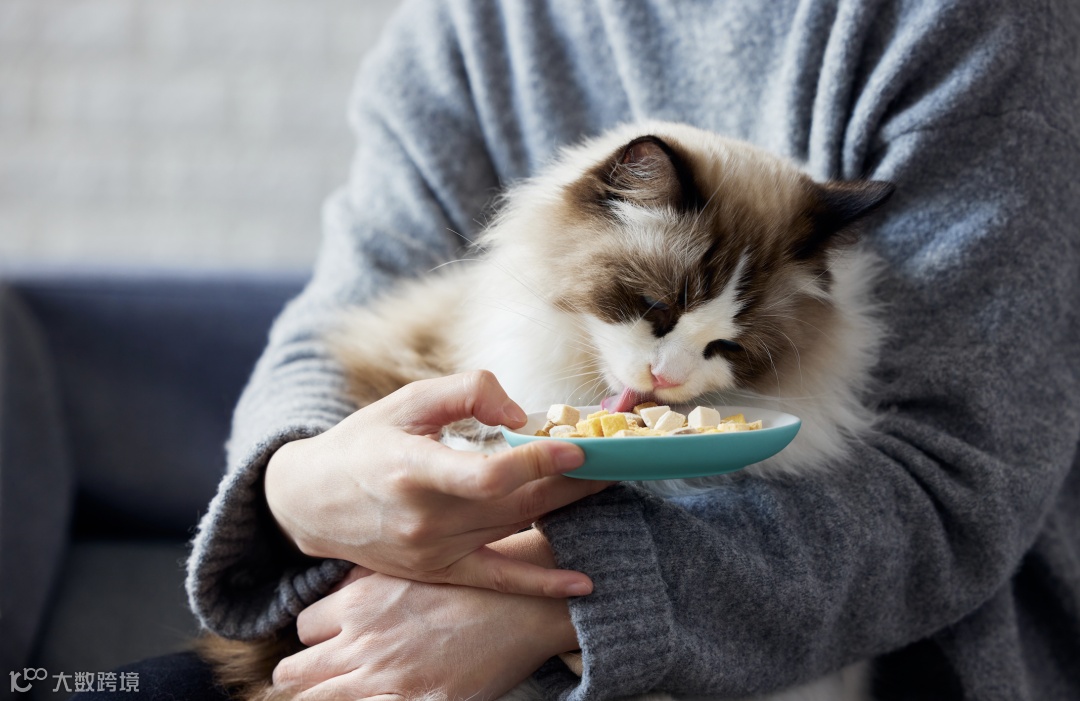 双11宠物经济爆发,商家做对了啥?