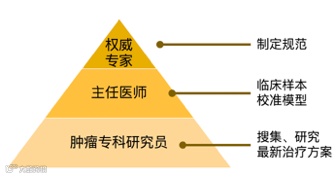 从治疗方案切入,这家高起点AI创业团队,在做中国自己的癌症智能决策系统