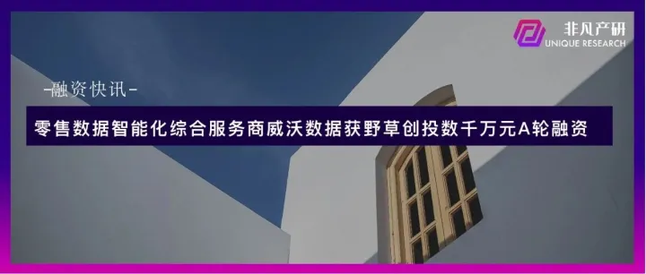 零售数据智能化综合服务商威沃数据获野草创投数千万元A轮融资