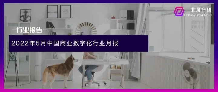 行业报告 | 2022年5月中国商业数字化行业月报