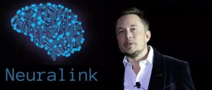 脑科学：开颅打洞接电线，你敢不敢？| 万字研究