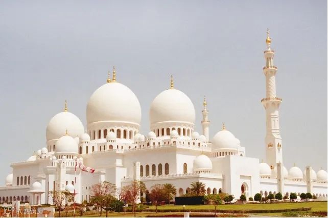 再不出海考察中东，就晚了！