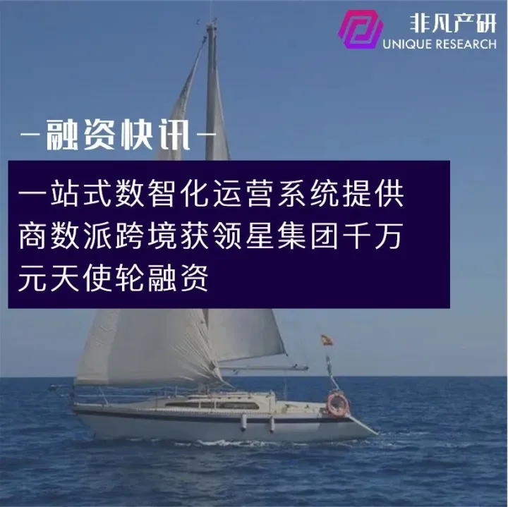 一站式数智化运营系统提供商数派跨境获领星集团千万元天使轮融资