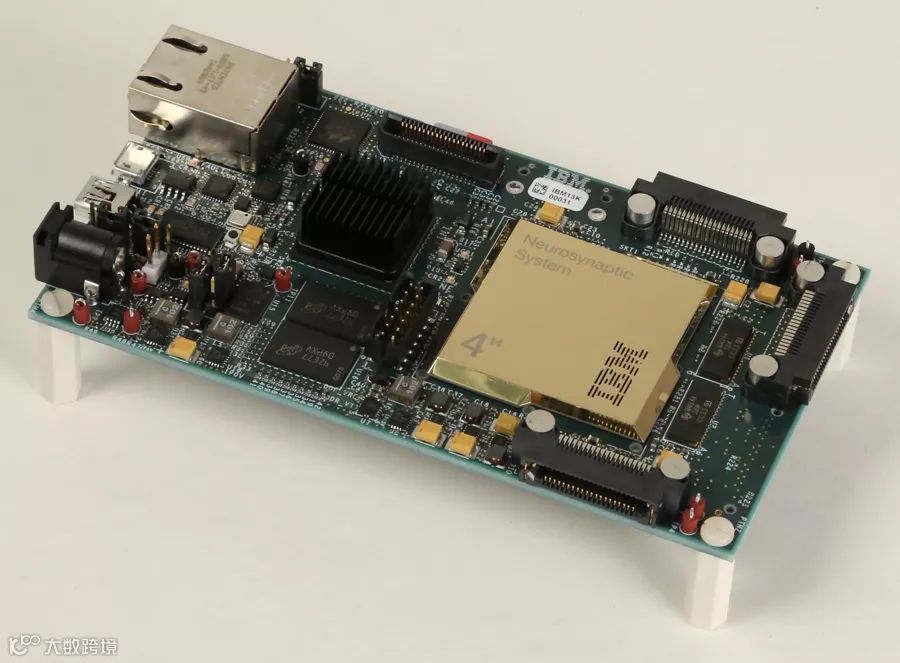 脑科学：开颅打洞接电线，你敢不敢？| 万字研究