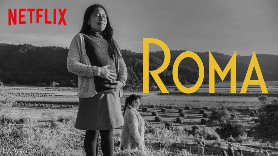 24项奥斯卡提名背后, Netflix边际贡献利润下降,负债依然严峻 | 财报详解+电话会实录