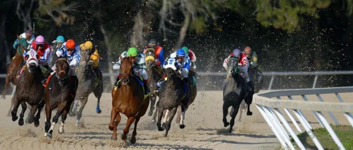 新造车第二梯队的生死时速：活下去就是胜利