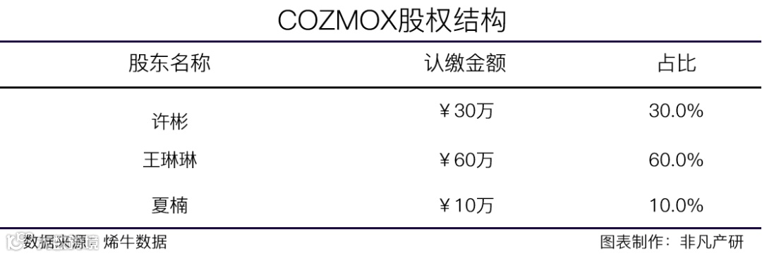 品牌出海数字营销平台COZMOX获数百万人民币种子轮融资
