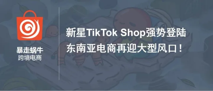 新星TikTok Shop强势登陆，东南亚电商再迎大型风口！