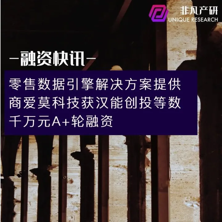 零售数据引擎解决方案提供商爱莫科技获汉能创投等数千万元A+轮融资