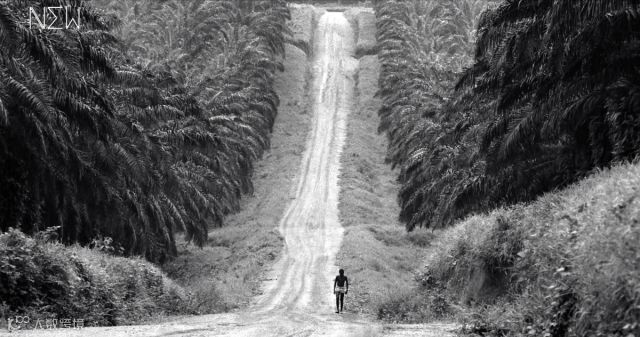 《盖茨之道》：解码比尔·盖茨