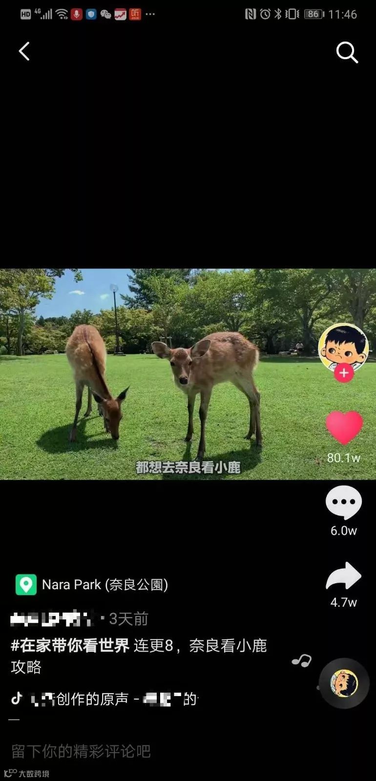 在抖音，我们度过了一个怎样的春节？