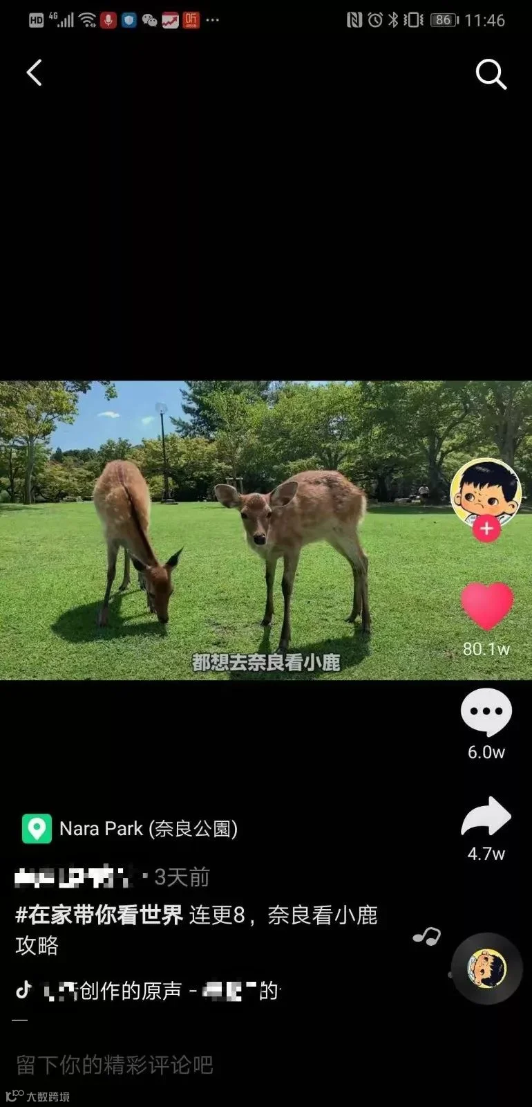 在抖音，我们度过了一个怎样的春节？