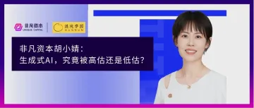 非凡资本胡小婧：生成式AI，究竟被高估还是低估？