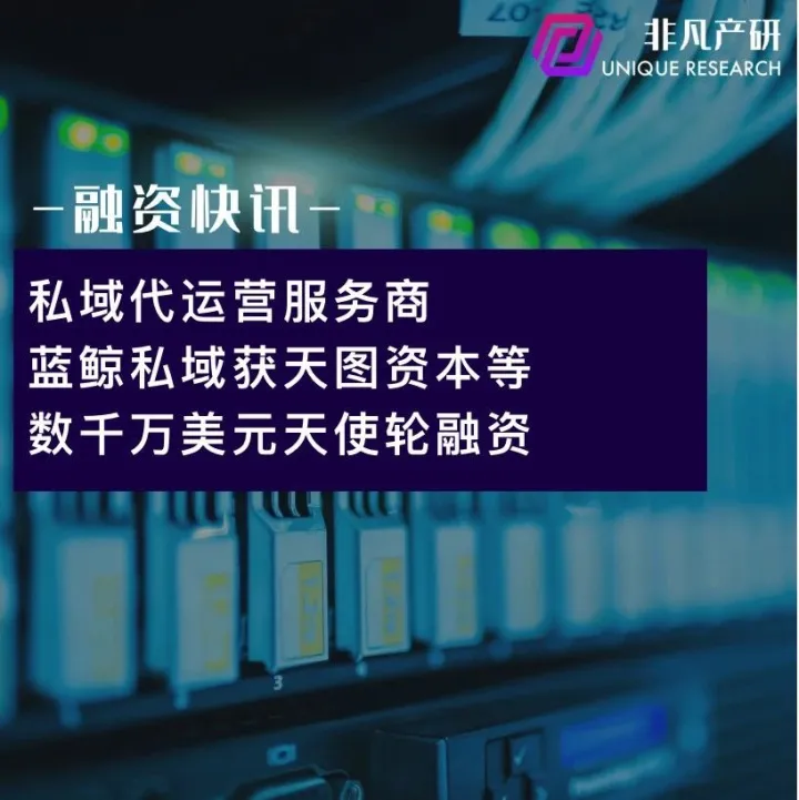 私域代运营服务商蓝鲸私域获天图资本等数千万美元天使轮融资