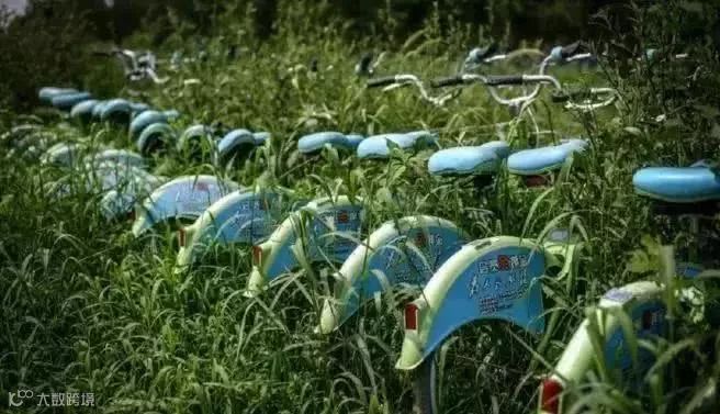 胡玮炜卸任、ofo危局难破:共享单车大战的三年记忆