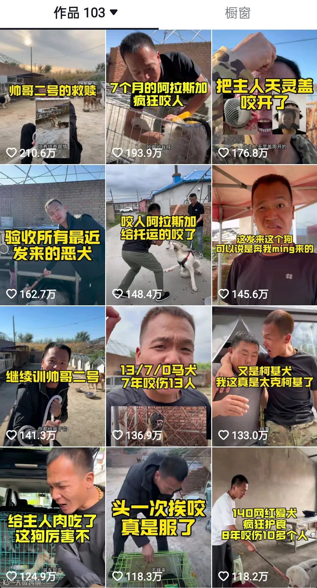 千万网红突然停播,潘宏爱玩狗也摊上事了