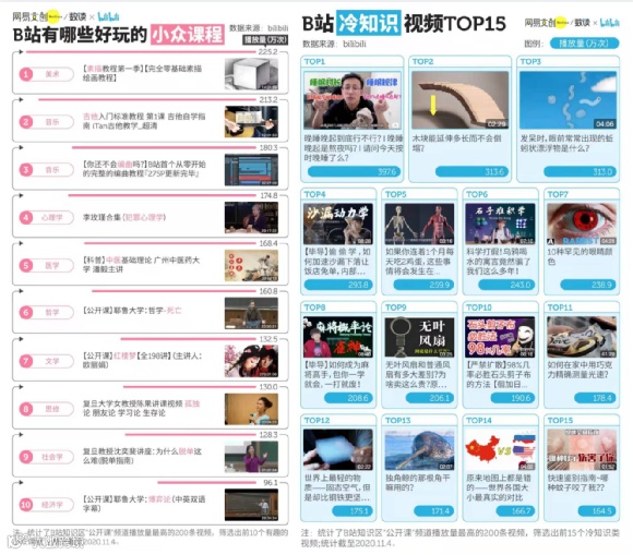 百大UP主第三年，知识区抢滩B站