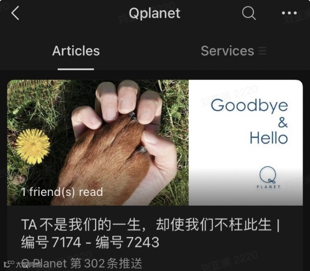 隐秘的宠物殡葬，猫猫狗狗们的死亡价码