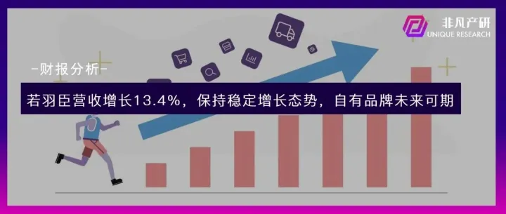 财报分析 | 若羽臣营收增长13.4%，零售业务占比逐年增加，自有品牌未来可期