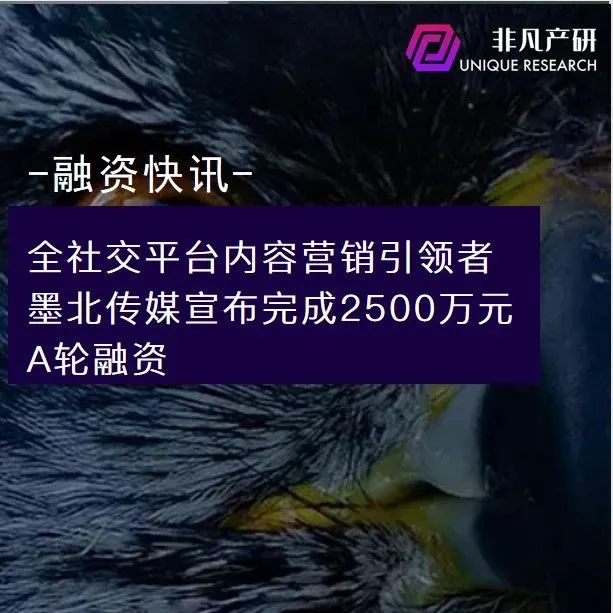 全社交平台内容营销引领者墨北传媒宣布完成2500万元A轮融资