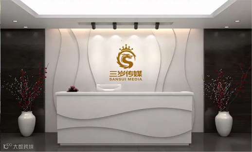 短视频MCN机构三岁传媒获个人投资者近亿元天使轮融资