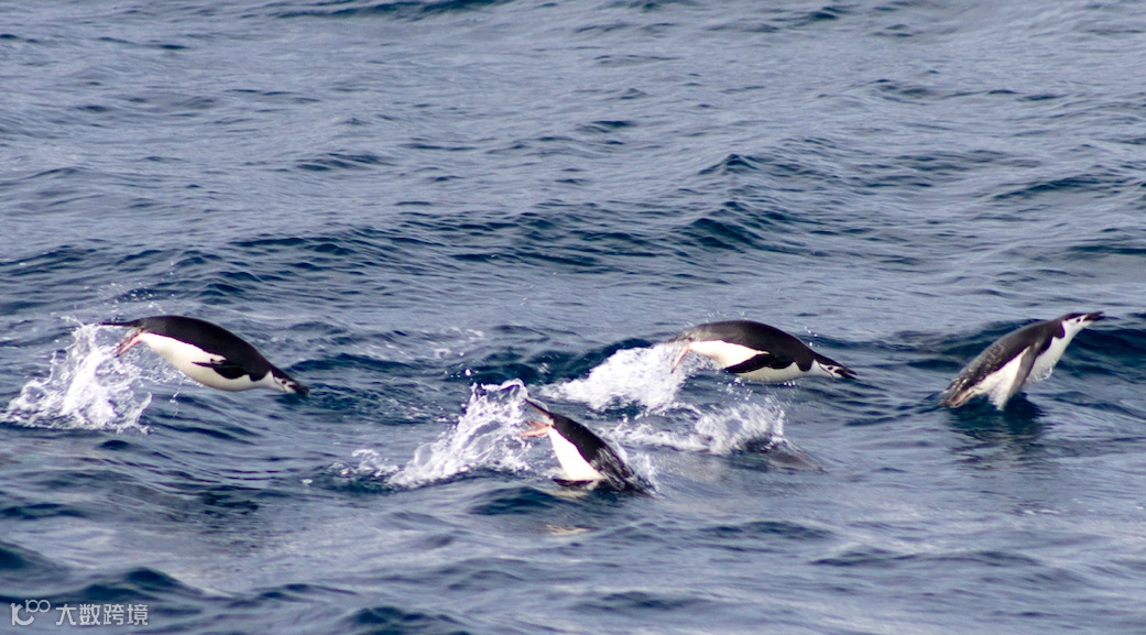 复盘腾讯出海之路，WeChat只是企鹅海外帝国一角
