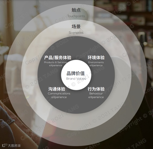 体验咨询公司唐硕体验咨询并购CEM客户体验管理综合服务商大树体验云