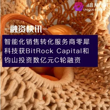 智能化销售转化服务商零犀科技获BitRock Capital和钧山投资数亿元C轮融资