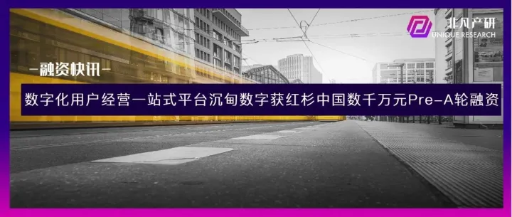 数字化用户经营一站式平台沉甸数字获红杉中国数千万元Pre-A轮融资