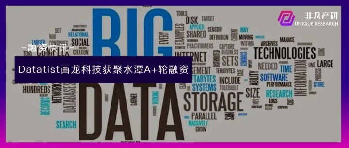 Datatist画龙科技获聚水潭A+轮融资