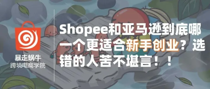 Shopee和亚马逊到底哪一个更适合新手创业？选错的人苦不堪言！！