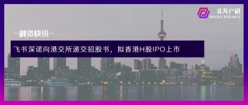飞书深诺向港交所递交招股书,拟香港H股IPO上市