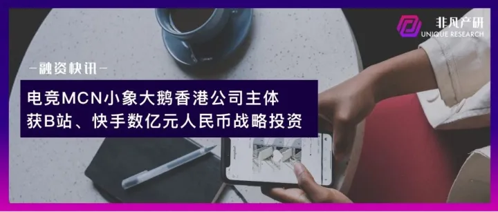电竞MCN小象大鹅香港公司主体获B站、快手数亿元人民币战略投资