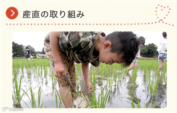 日本是怎么做社区团购的？