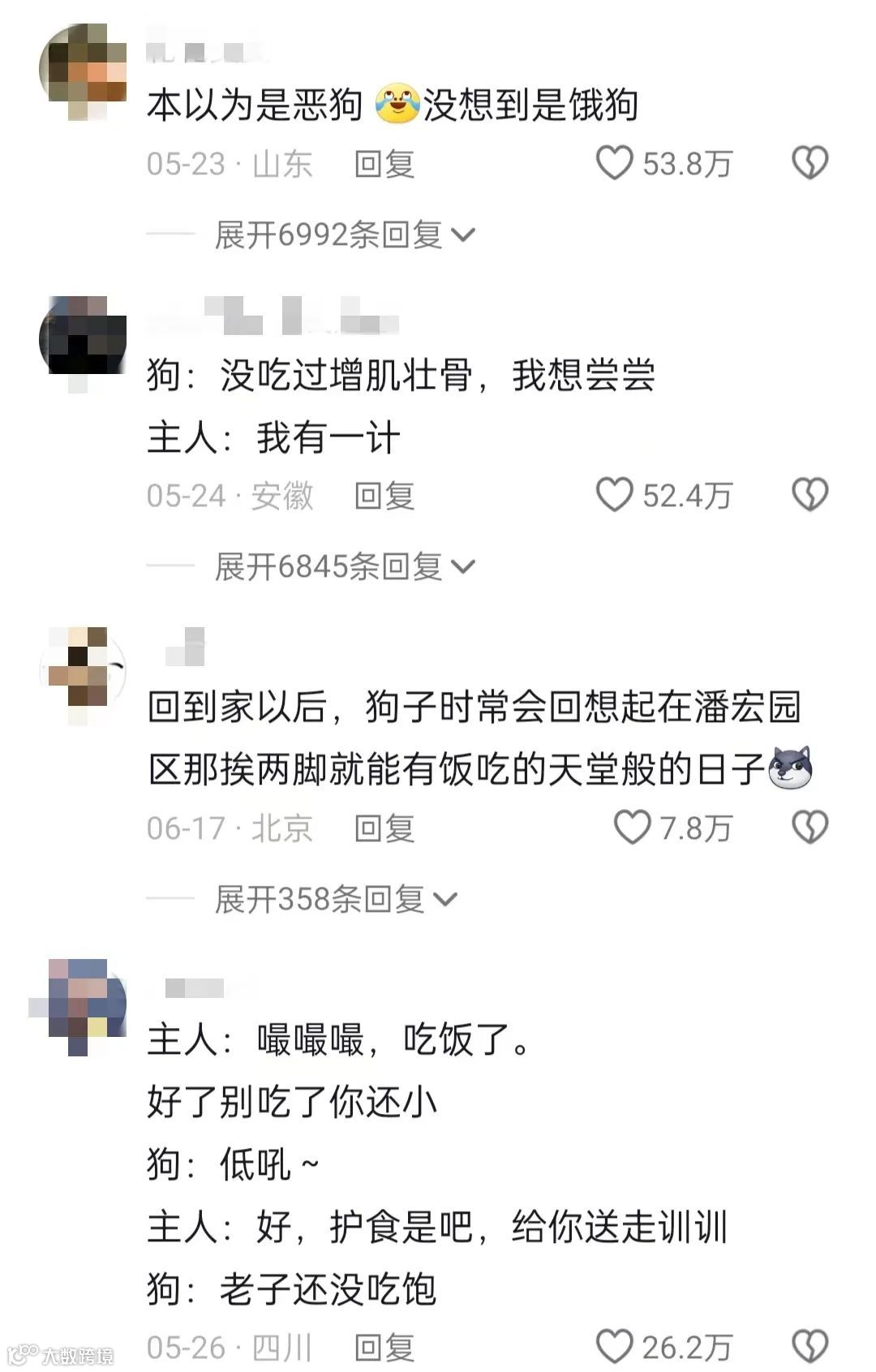 千万网红突然停播,潘宏爱玩狗也摊上事了