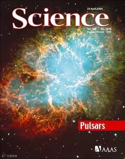 脑科学：开颅打洞接电线，你敢不敢？| 万字研究