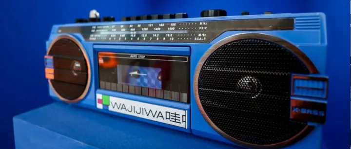 从前行者到引领者：哇唧唧哇这五年收获了什么？改变了什么？