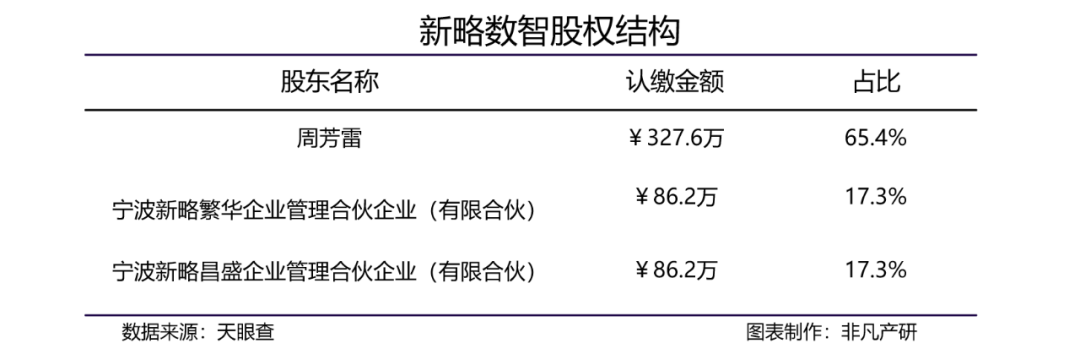 全域消费者数字化运营解决方案供应商新略数智获红杉中国、高瓴创投、元璟资本1亿元A轮融资
