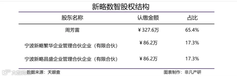 全域消费者数字化运营解决方案供应商新略数智获红杉中国、高瓴创投、元璟资本1亿元A轮融资