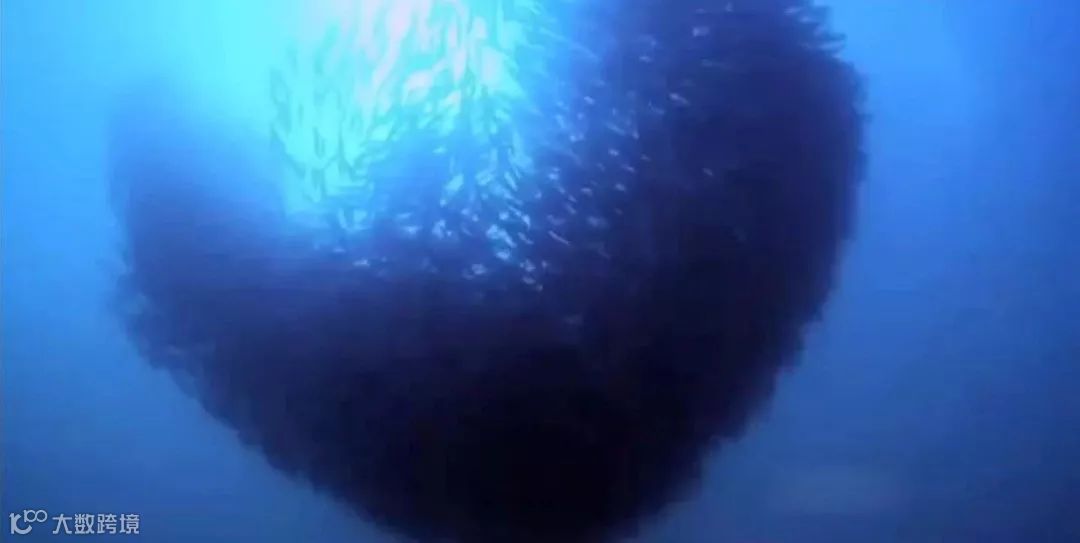 李善友:与使命活成一体,你的企业才能生生不息