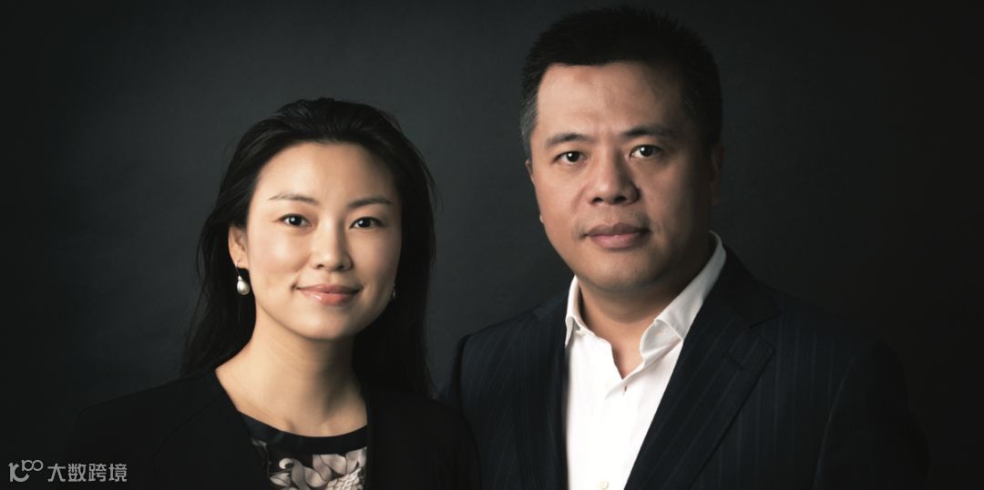 脑科学：开颅打洞接电线，你敢不敢？| 万字研究