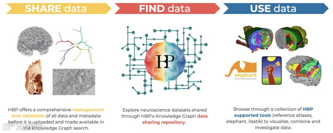 脑科学：开颅打洞接电线，你敢不敢？| 万字研究