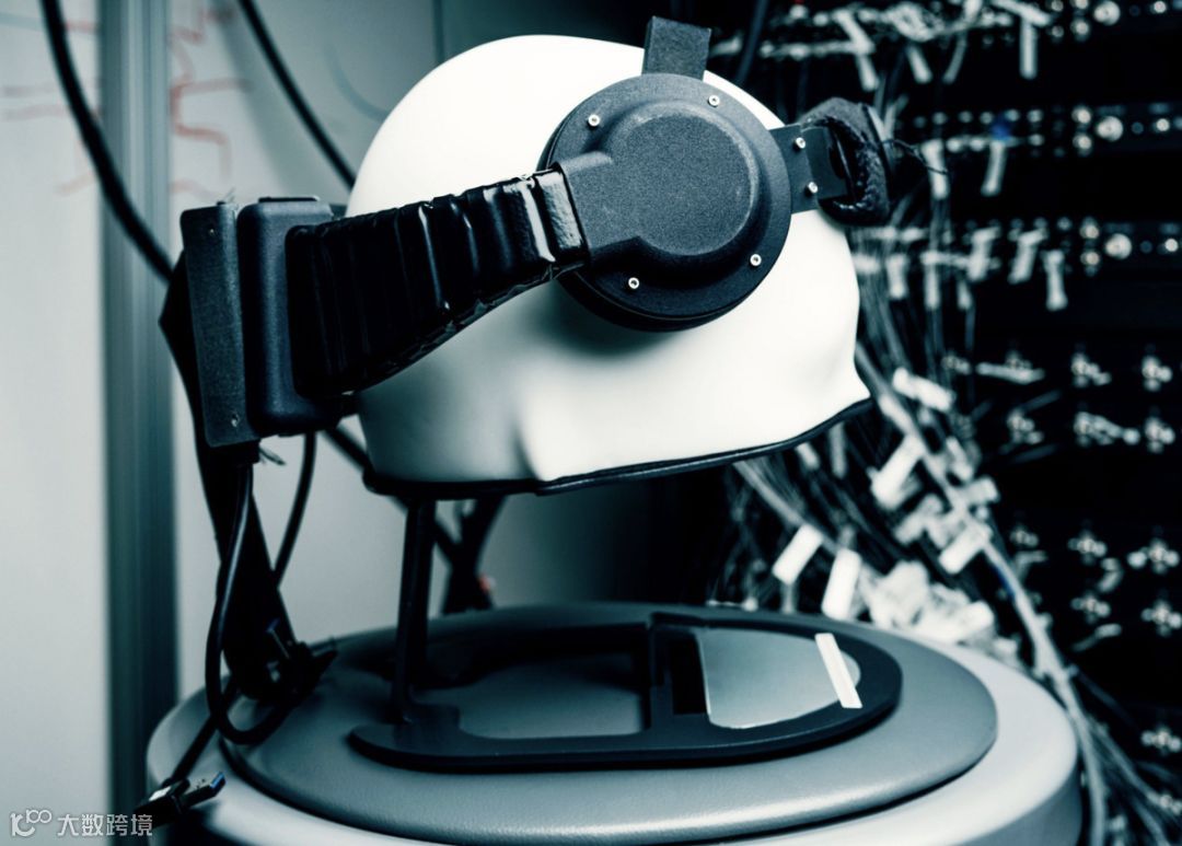 脑科学：开颅打洞接电线，你敢不敢？| 万字研究