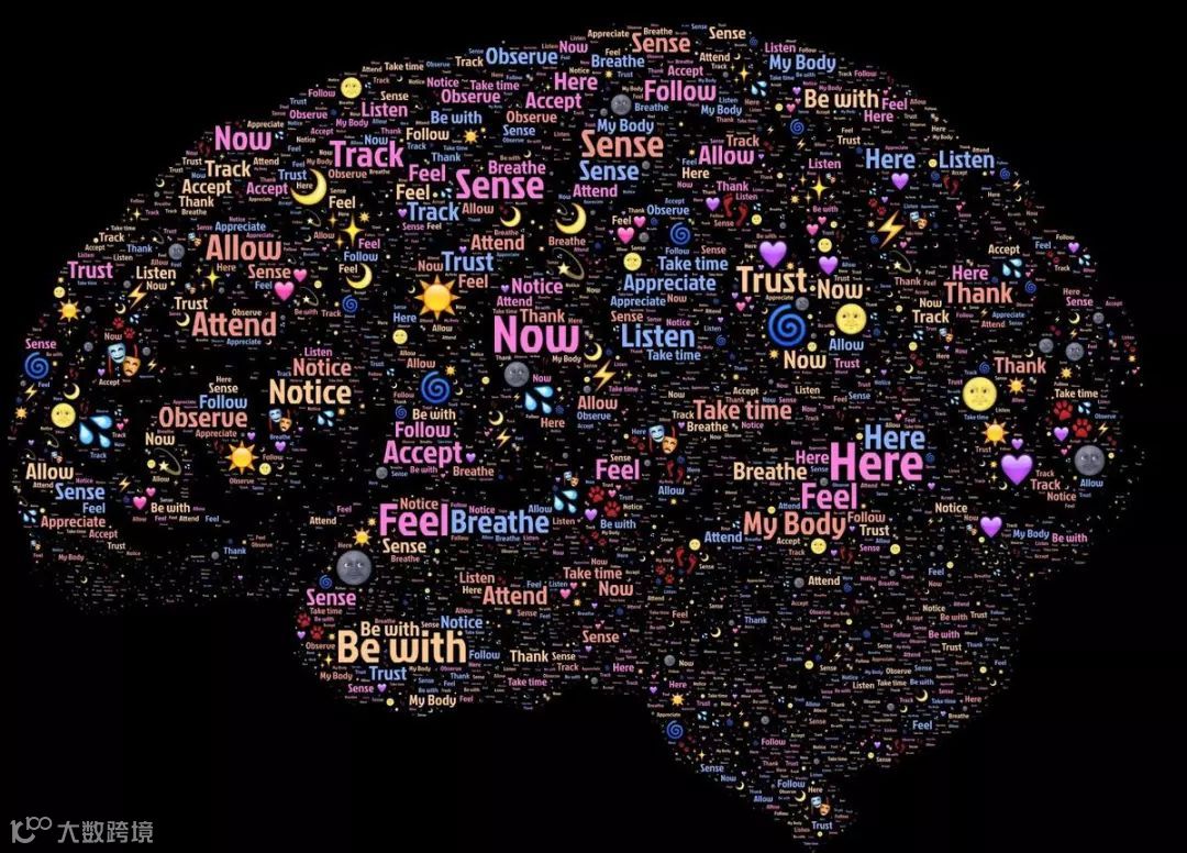 脑科学：开颅打洞接电线，你敢不敢？| 万字研究